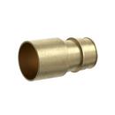 3/4 in. F1960 x Female Sweat Brass Straight, Adapter