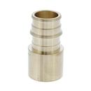 Jones Stephens Brass F1960 x Female Sweat Brass Straight, Adapter 