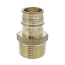 Jones Stephens Brass Brass PEX Expansion x MPT Adapter 
