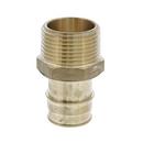 Jones Stephens Brass PEX Expansion x MPT Adapter 