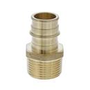 Jones Stephens Brass Brass PEX Expansion x MPT Adapter 