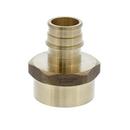 Jones Stephens Brass Brass PEX Expansion x FPT Adapter 