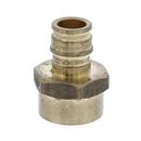 Jones Stephens Brass Brass PEX Expansion x FPT Adapter 