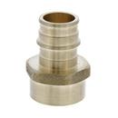 Jones Stephens Brass Brass PEX Expansion x FPT Adapter 