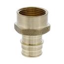 Jones Stephens Brass PEX Expansion x FPT Adapter 