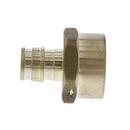 Jones Stephens Brass Brass PEX Expansion x FPT Adapter 