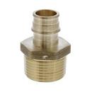Jones Stephens Brass Brass PEX Expansion x MPT Adapter 
