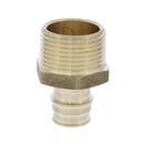 Jones Stephens Brass Brass PEX Expansion x MPT Adapter 