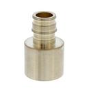 Jones Stephens Brass F1960 x Female Sweat Brass Reducing, Adapter 