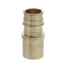 Jones Stephens Brass F1960 x Male Sweat Brass Straight, Adapter 