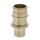 Jones Stephens Brass PEX Expansion x Male Sweat Adapter 
