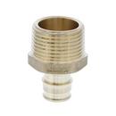 Jones Stephens Brass Brass PEX Expansion x MPT Adapter 