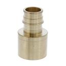 Jones Stephens Brass Brass PEX Expansion x Female Sweat Adapter 