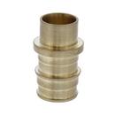 Jones Stephens Brass Brass PEX Expansion x Female Sweat Adapter 