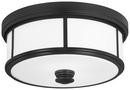 Minka Lavery Coal 2-Light Flush Mount Ceiling Fixture with Etched Opal Glass 