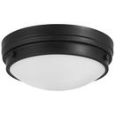 Minka Lavery Coal 2-Light Flush Mount Ceiling Fixture 