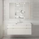 *CVR* PL PORTRAY 16X36 FP SLWCLSE E 