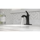 Pfister Matte Black Single Handle Monoblock Bathroom Sink Faucet 