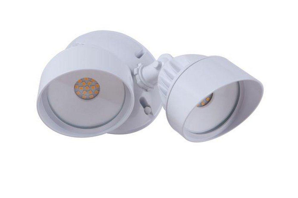 WHIT 2 25W LED FLD LGHT 