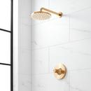 Single Handle Single Function Shower Faucet Set in Brushed Gold - Trim Only