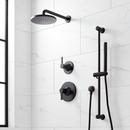 Two Handle Single Function Shower System in Matte Black
