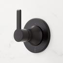 Signature Hardware Matte Black Two Handle Single Function Shower System 