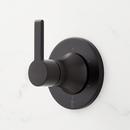 Signature Hardware Matte Black Two Handle Single Function Shower System 