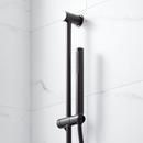 Signature Hardware Matte Black Two Handle Single Function Shower System 