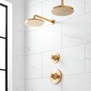 Two Handle Single Function Shower Faucet in Brushed Gold Trim Only