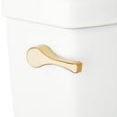 Signature Hardware Brushed Gold Trip Lever 