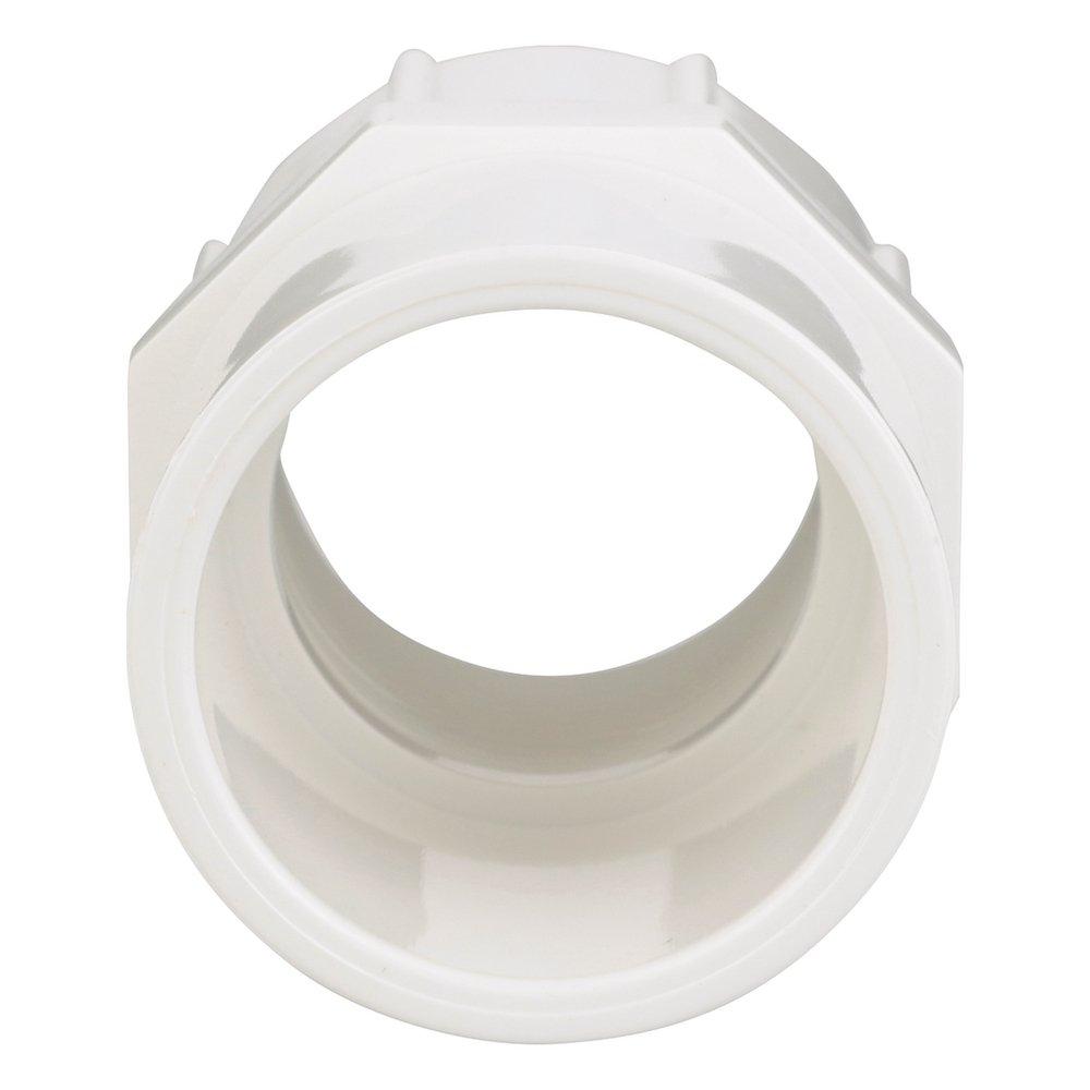 White PVC Schedule 40 Female Adapter 