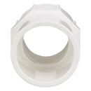 White PVC Schedule 40 Female Adapter 