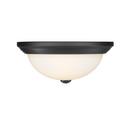 2-Light Flush Mount Ceiling Light in Matte Black 