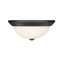 2-Light Flush Mount Ceiling Light in Matte Black