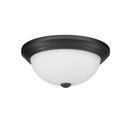 2-Light Flush Mount Ceiling Light in Matte Black 