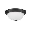 FLUSHMOUNT CEILING LIGHT 