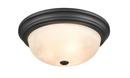 FLUSHMOUNT CEILING LIGHT 