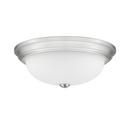 FLUSHMOUNT CEILING LIGHT 