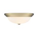 FLUSHMOUNT CEILING LIGHT 