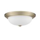 FLUSHMOUNT CEILING LIGHT 