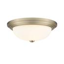 FLUSHMOUNT CEILING LIGHT 