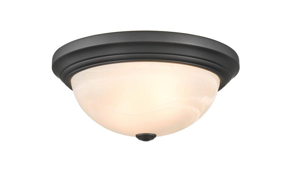 2-Light Flush Mount Ceiling Light in Matte Black 