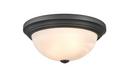 2-Light Flush Mount Ceiling Light in Matte Black 