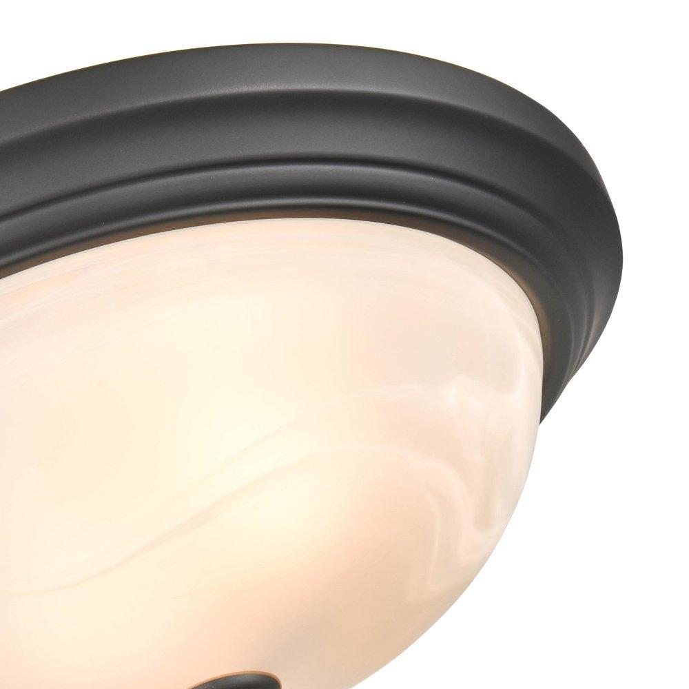 2-Light Flush Mount Ceiling Light in Matte Black 