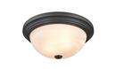 FLUSHMOUNT CEILING LIGHT 