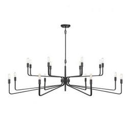 60W 16-Light 2-Tier Incandescent Chandelier in Forged Iron