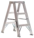 3 ft. Aluminum Twin Front Step Ladder