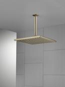 Delta Faucet Lumicoat Polished Nickel Single Function Showerhead 