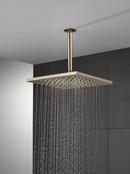 CCY 1.75 GPM UNIV SHOWERING COMPONENTS SINGLE-SETTING METAL RAINCAN SHOWER HEAD LUMICOAT POLISHED NICKEL 