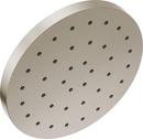 Single Function Showerhead in Lumicoat™ Stainless